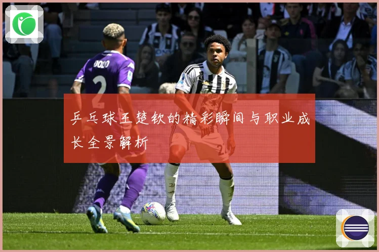 乒乓球王楚钦的精彩瞬间与职业成长全景解析